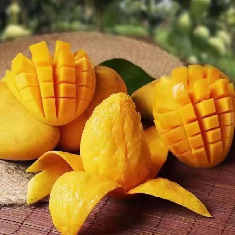 芒果三块到六块一件，六十斤左右欢迎电话联系看货