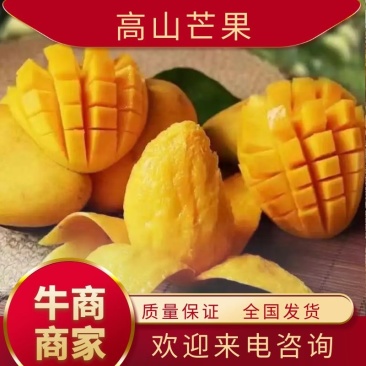 芒果三块到六块一件，六十斤左右欢迎电话联系看货