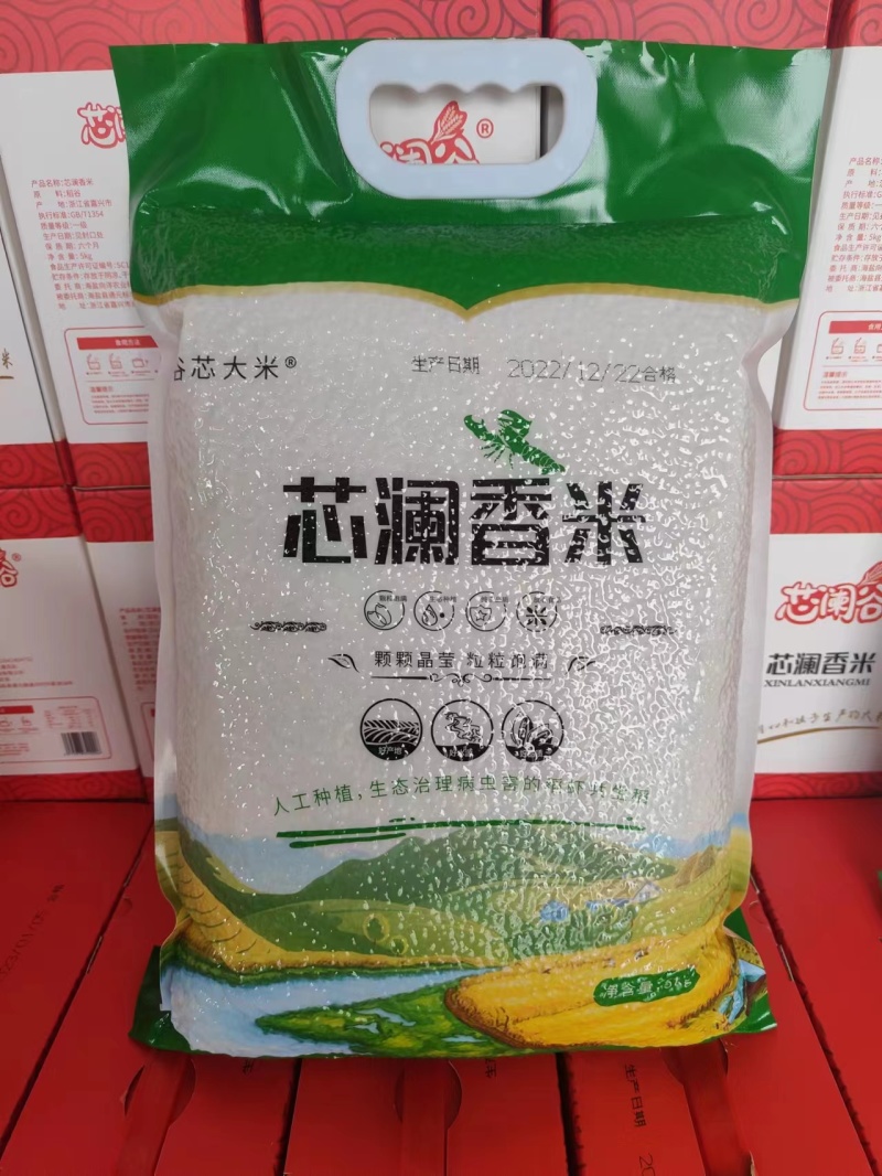 浙江优质大米基地直供一手货源品质保证诚信经营欢迎采购