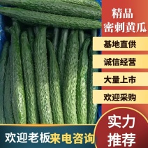 【推荐】鲜花带刺黄瓜大量供货，全国供货顶花带刺
