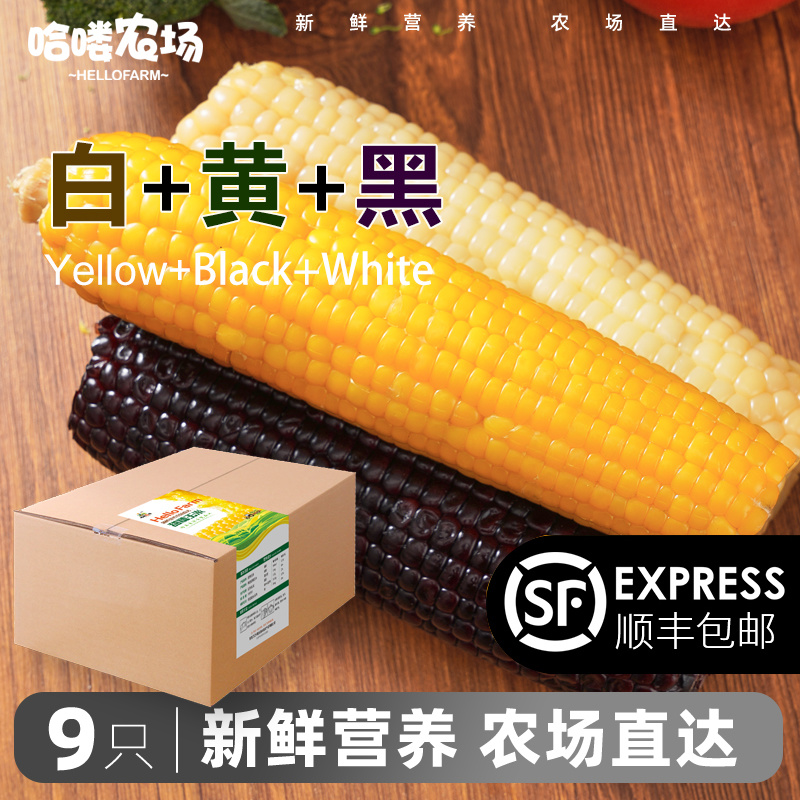 东北糯玉米黑白黄三色玉米真空包装甜苞米