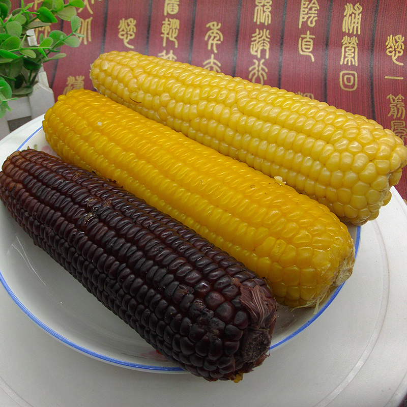 东北糯玉米黑白黄三色玉米真空包装甜苞米