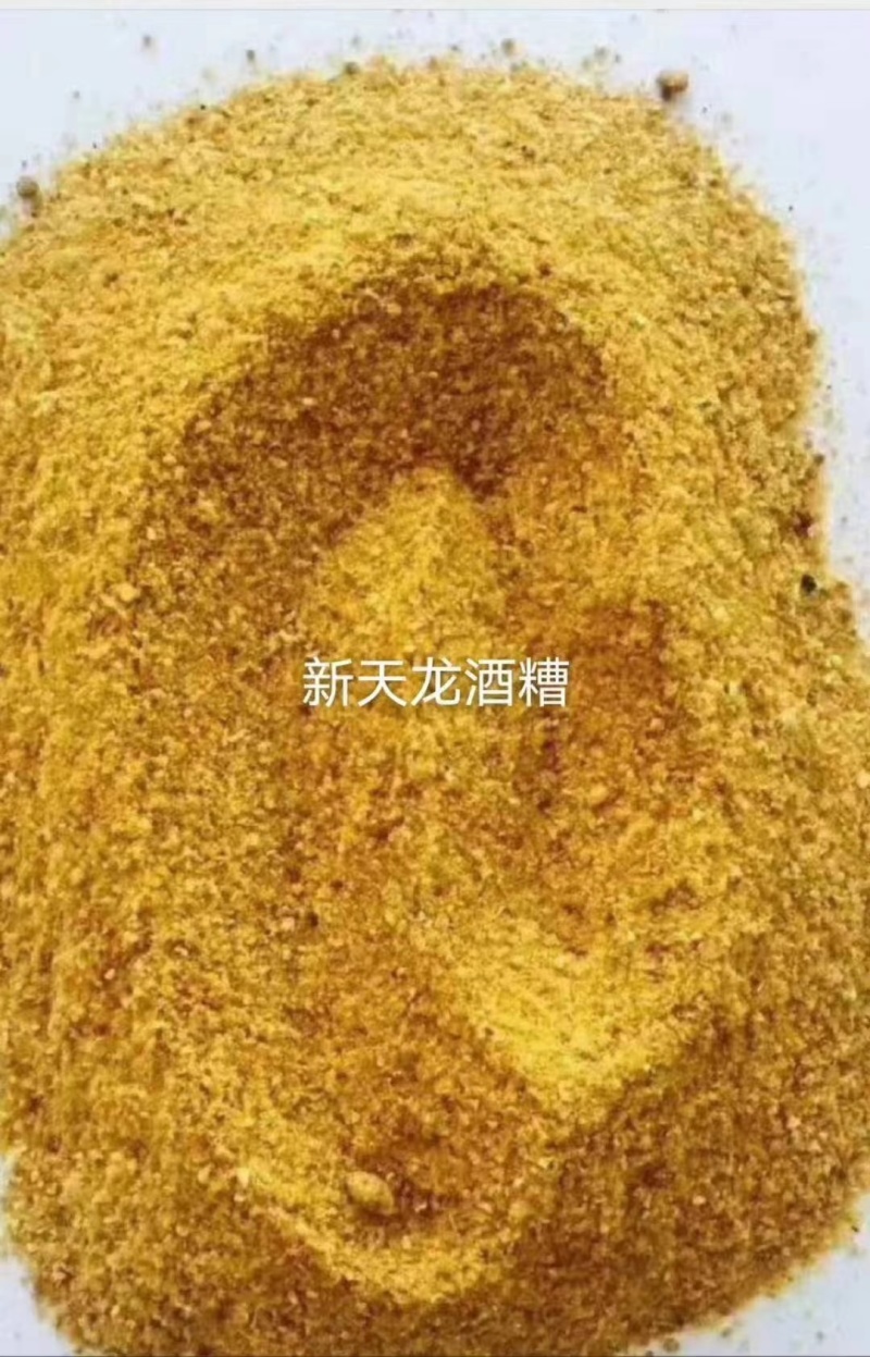 优选原料玉米酒糟货源稳定品质保证欢迎来电
