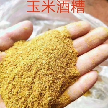 优选原料玉米酒糟货源稳定品质保证欢迎来电