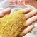 优选原料玉米酒糟货源稳定品质保证欢迎来电