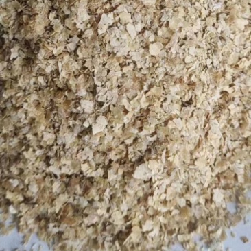 大量麸皮大片麸皮，混麸细麸质量保证，价格优惠