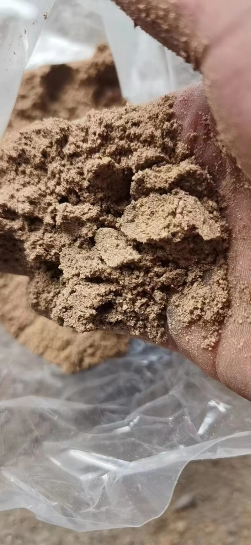 核桃粉