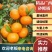 沙糖橘大量上市，皮毛光亮，一手货源品质保证