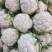 汉中白城固白花菜乳白色2斤左右，基地直发日供量100吨