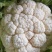城固白实花花2~3斤紧花,乳白色个头均匀基地直发