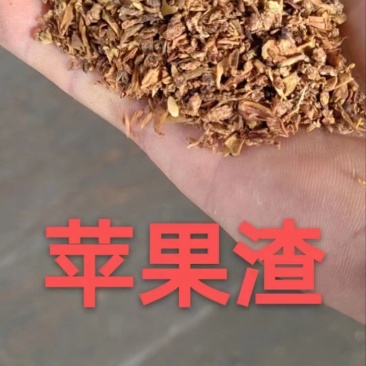 现货饲料苹果渣充足发货中支持视频看货欢迎来电