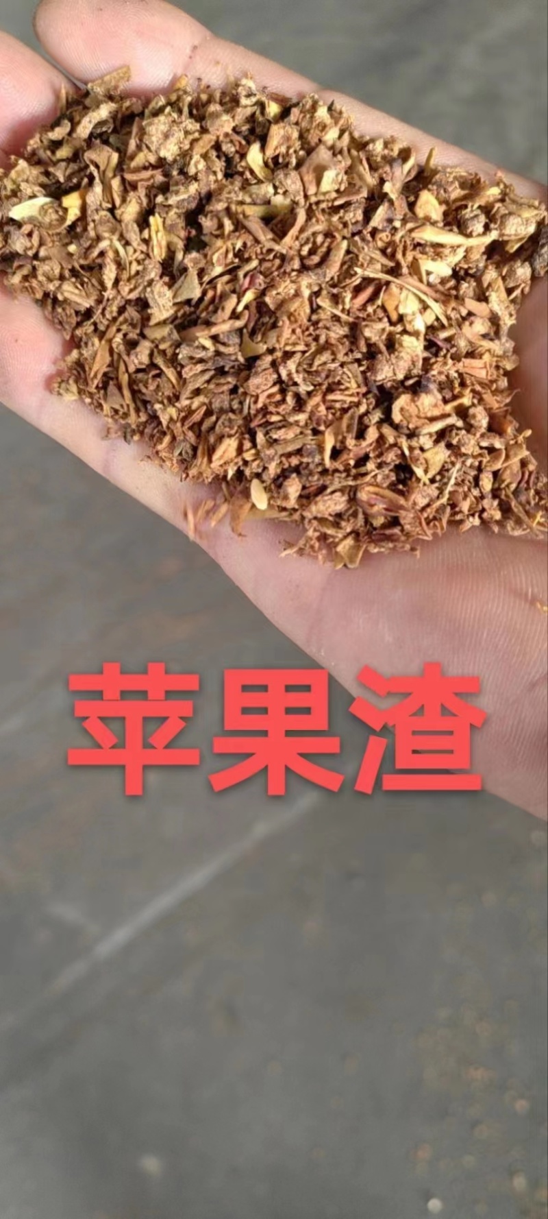 现货饲料苹果渣充足发货中支持视频看货欢迎来电