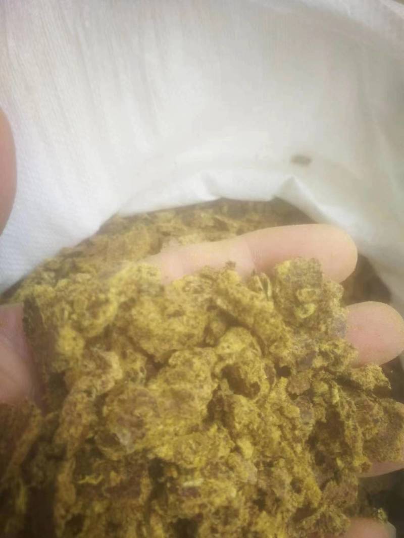 优质饲料原料棉籽饼大量走货支持视频看货价格优惠
