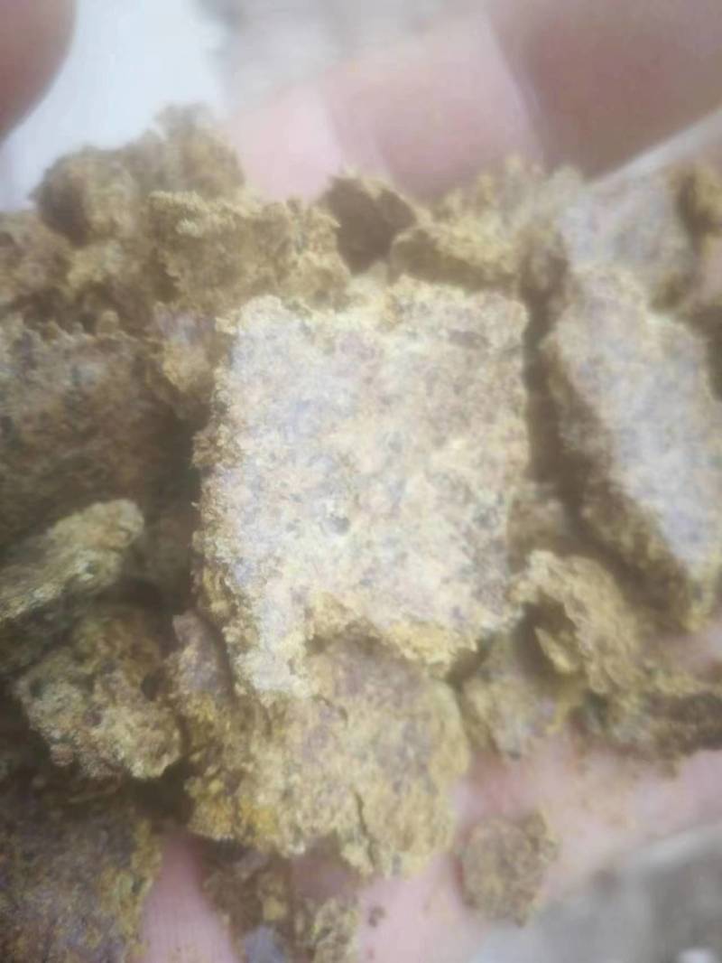 优质饲料原料棉籽饼大量走货支持视频看货价格优惠