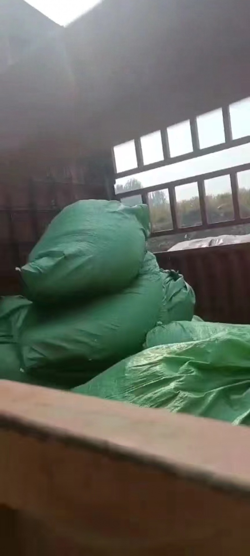 饲料原料熟化玉米整根粉碎气味香甜价格实惠
