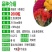 鸡冠花种子四季播开花卉植物室内外冠状凤尾盆栽绿化观赏花种