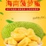 海南三亚菠萝蜜新鲜水果一整个黄肉干苞应季水果