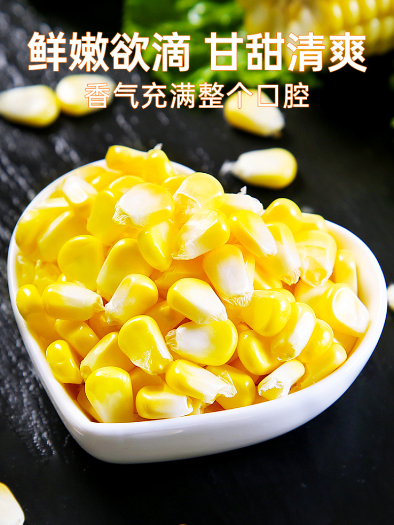 云南金银水果玉米新鲜生吃甜玉米棒子苞谷米现摘蔬菜