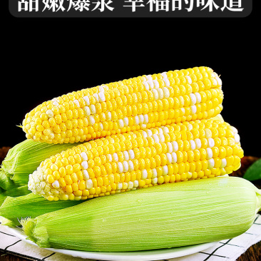 水果玉米新鲜爆浆甜玉米10斤生吃嫩苞谷即食香甜玉米棒子