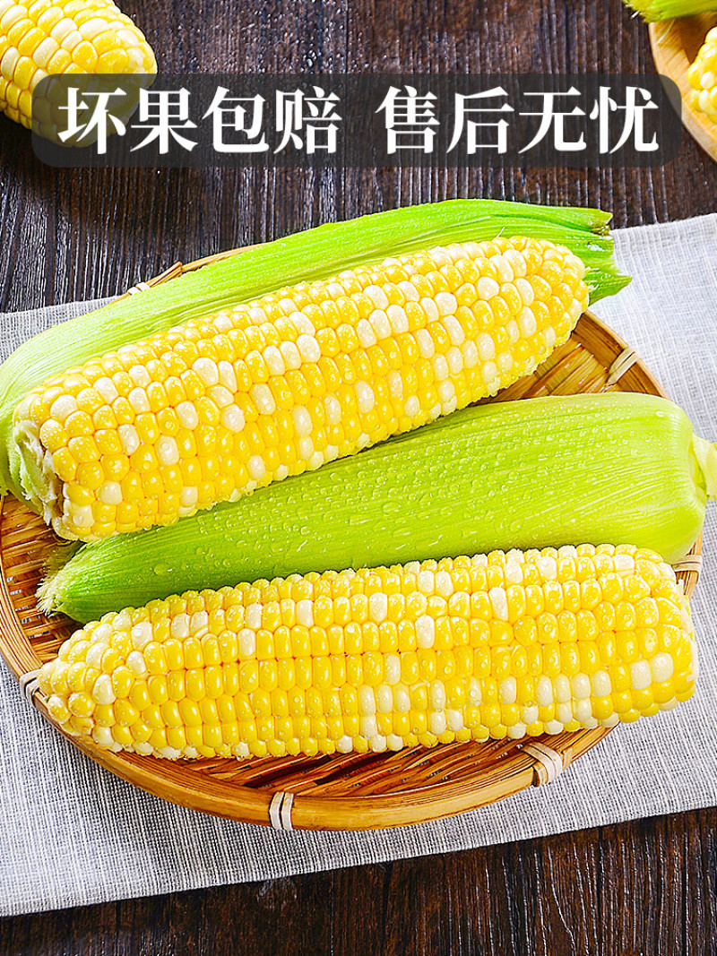 水果玉米新鲜爆浆甜玉米10斤生吃嫩苞谷即食香甜玉米棒子