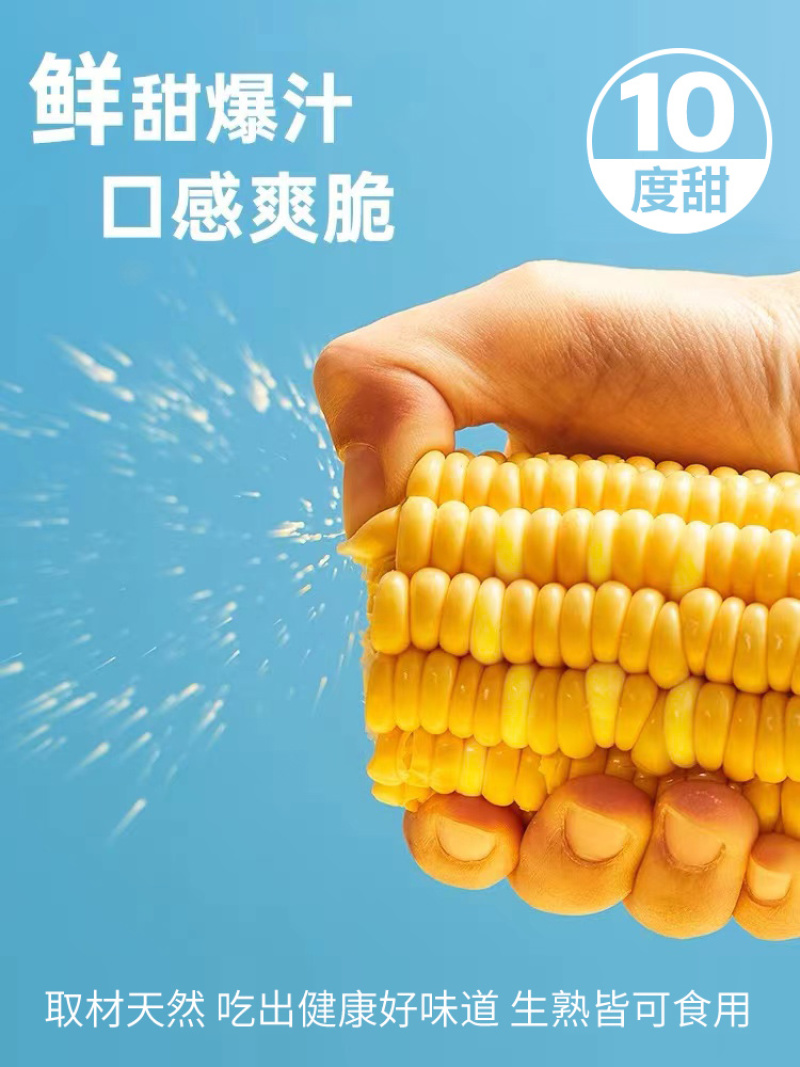云南金银水果玉米9斤新鲜生吃甜玉米棒子苞谷米现摘包邮蔬菜