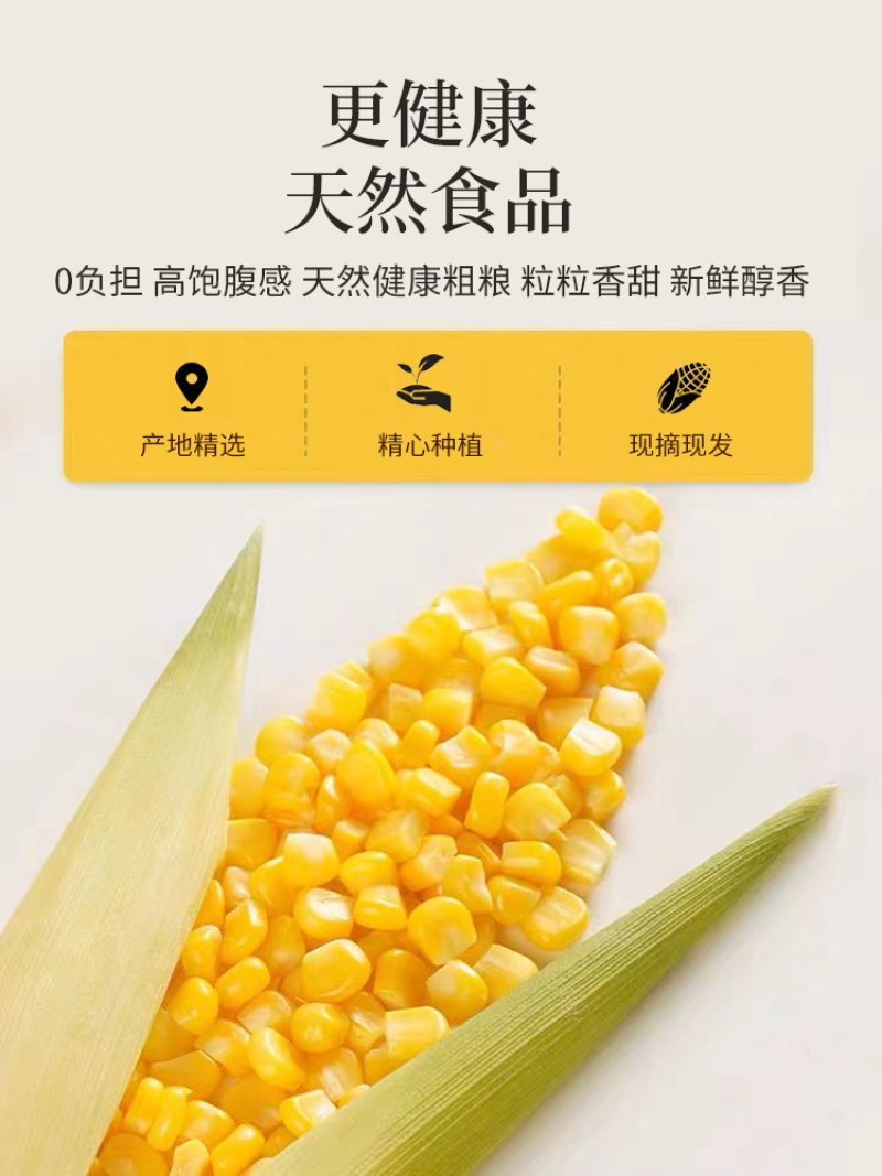 云南金银水果玉米9斤新鲜生吃甜玉米棒子苞谷米现摘包邮蔬菜
