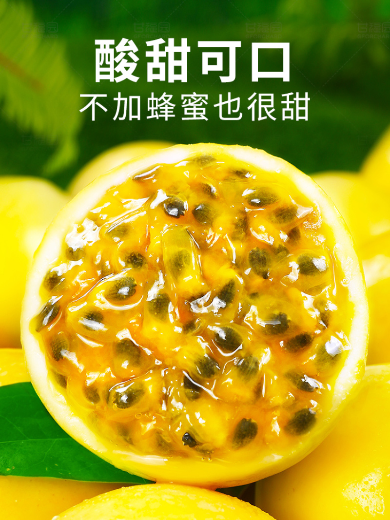 广西钦蜜9号黄金百香果新鲜一级黄金果甜果原浆大果