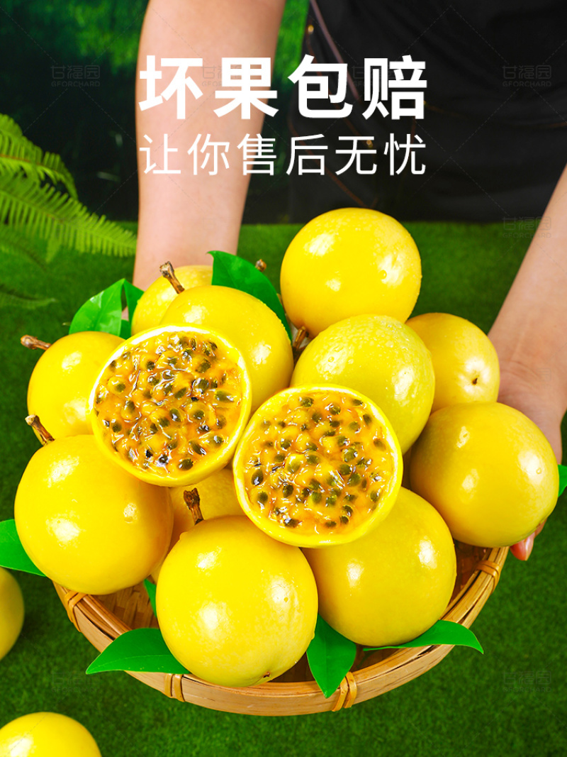 广西钦蜜9号黄金百香果新鲜一级黄金果甜果原浆大果