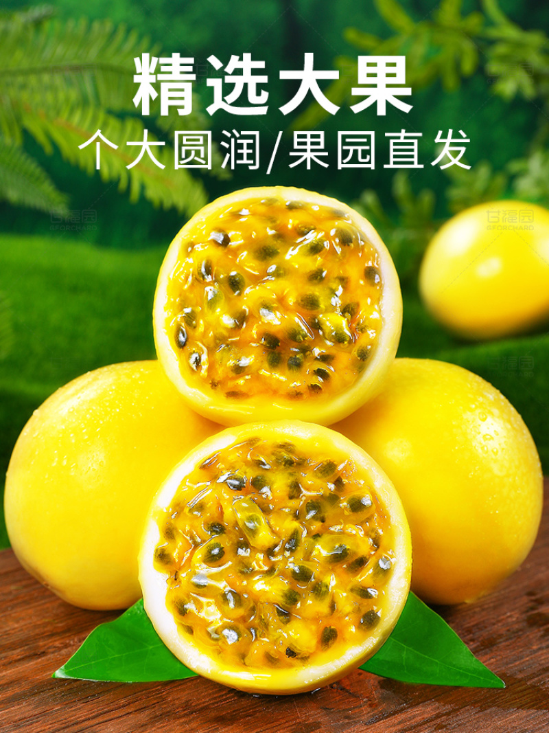 广西钦蜜9号黄金百香果新鲜一级黄金果甜果原浆大果