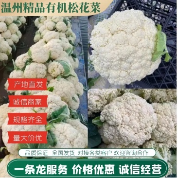 【实力商家】有机花菜，品质花菜送花菜散花小米粒