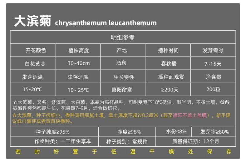 大滨菊种子洋甘菊花种子多年四季易种活花籽阳台庭院室外花卉