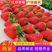 【推荐】长丰红颜草莓产地供应供应市场电商商超