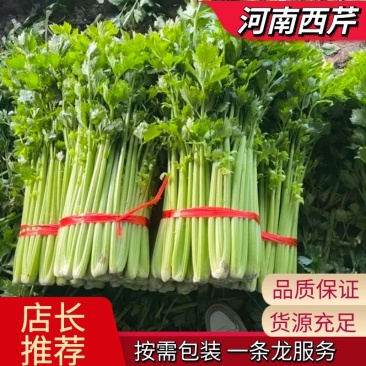 色泽鲜艳，物流迅速，原产地直发，服务质量保证。