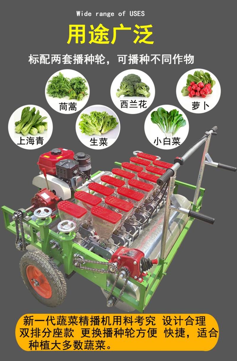 汽油蔬菜播种机菜心上海青香菜菠菜播种机大葱精播机
