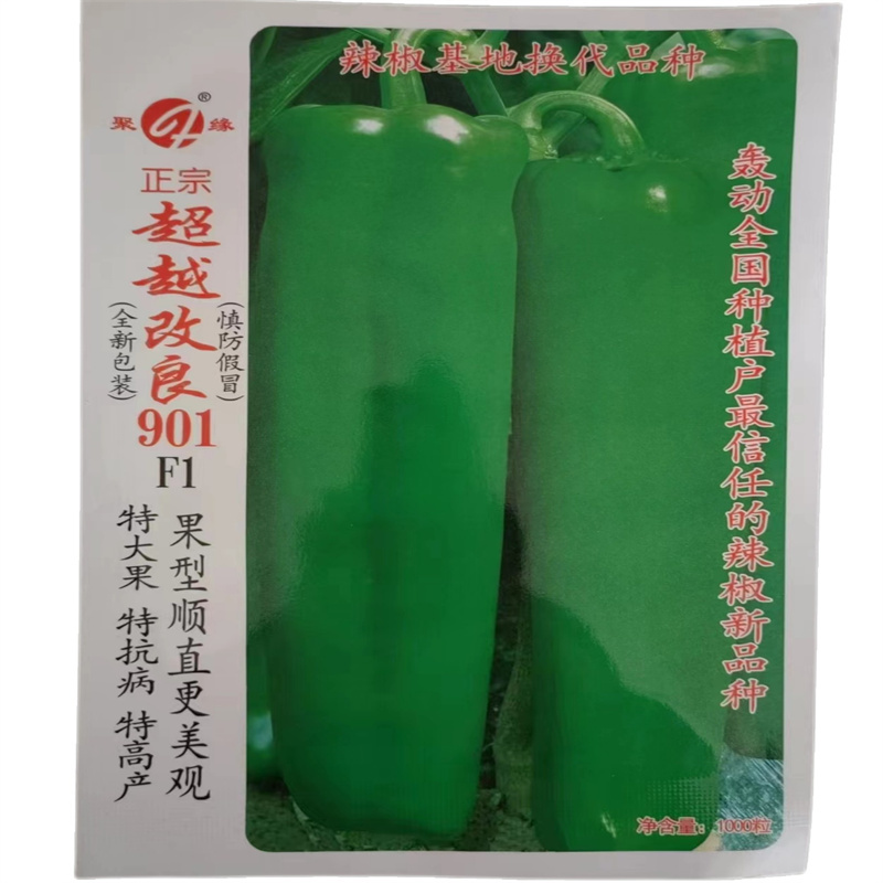 超越改良901辣椒早熟超大牛角椒种子果型顺直特大果高产