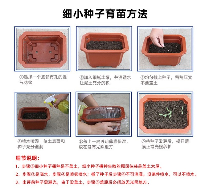 金鱼草花种子耐寒耐阴宿根花籽易活四季播种室外阳台盆栽花种