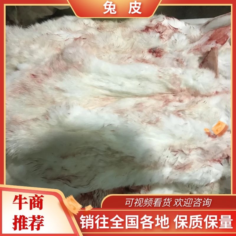 热卖】本公司常年供应长毛兔，肉兔皮张，量大优惠物美价廉