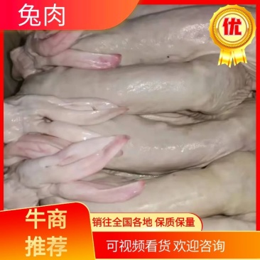 新鲜兔肉现杀兔肉速冻后的发货有兔头杀好，量大从优！