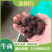 油桐籽，桐籽，湖南浏阳大量有货，价格优惠，欢迎电联采购