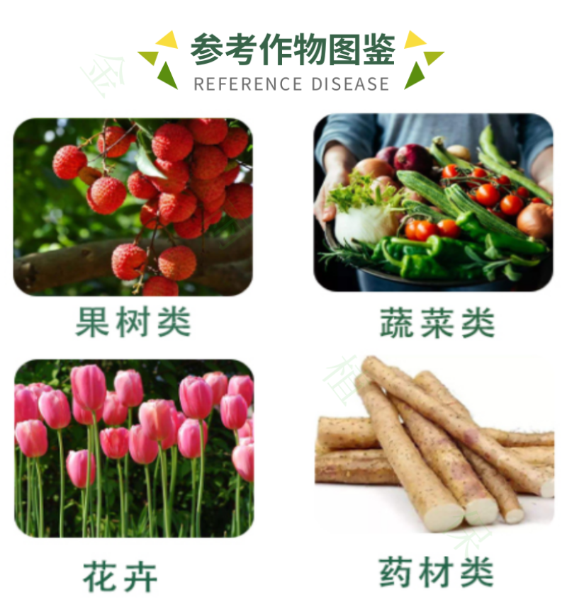10%S-诱抗素巨峰红提葡萄果树增甜着色提质生长调节剂