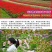 野花组合种子耐阴耐旱多年生庭院室外园区绿化易活草花种籽子