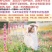 野花组合种子耐阴耐旱多年生庭院室外园区绿化易活草花种籽子