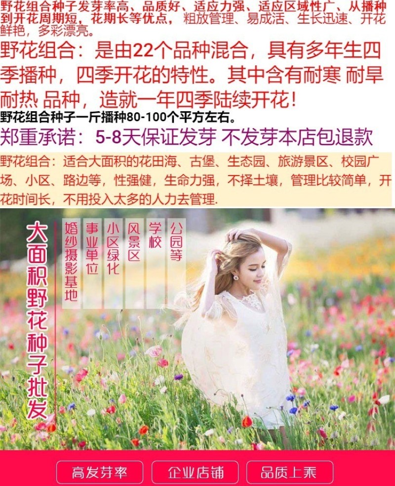 野花组合种子耐阴耐旱多年生庭院室外园区绿化易活草花种籽子