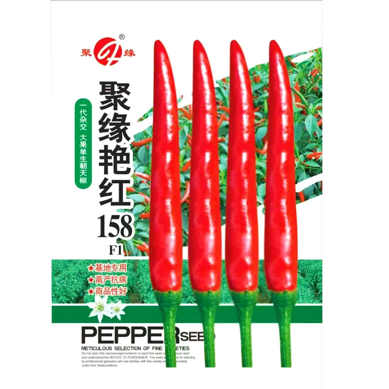 朝天椒种子聚缘艳红158大果单生抗病腌制剁椒鲜食硬