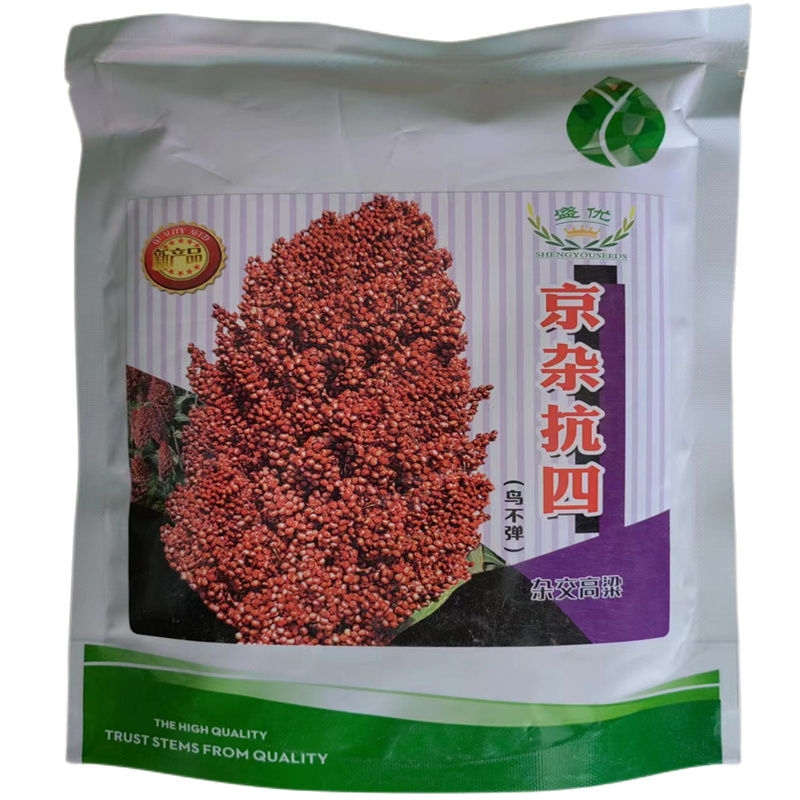 高粱种子京杂抗四红高粱种子高产抗旱能力强红高粱杂粮种子