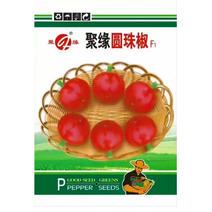 圆珠椒种子圆锥椒珍珠椒圆形红泡椒子弹头椒种子做干椒