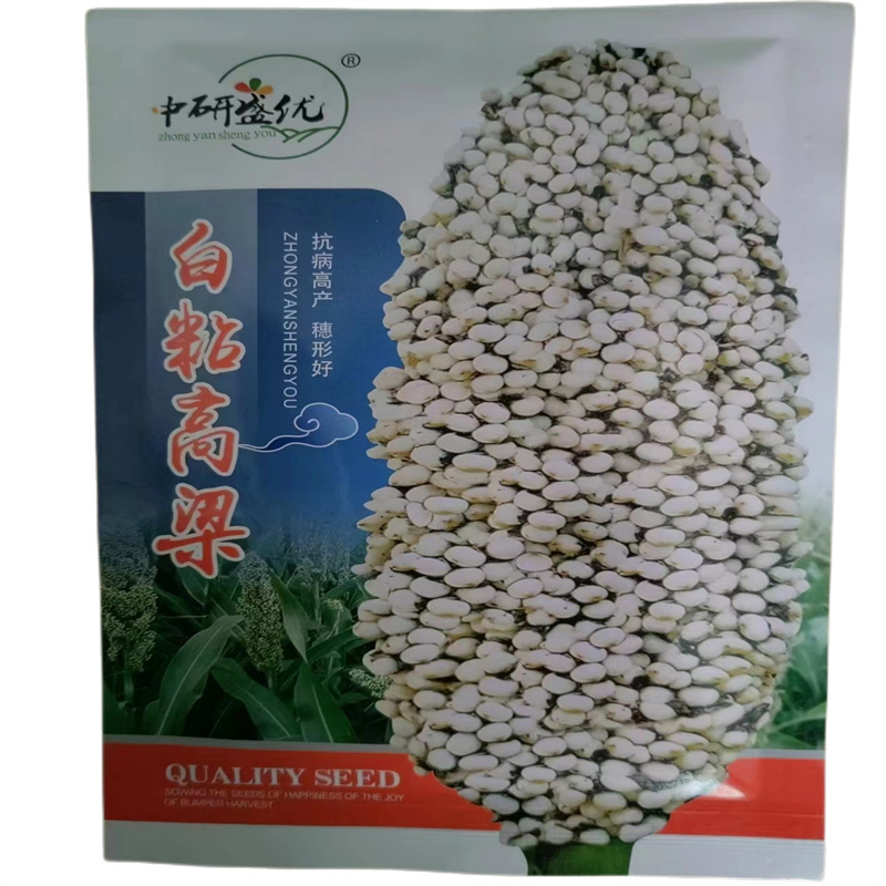 白粘高梁种子酿酒用口感粘糯抗倒伏大穗大白糯高粱种子高产