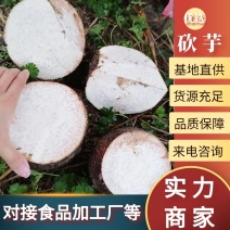 砍芋小芋大量现货规格齐全品质保障对接食品加工厂等