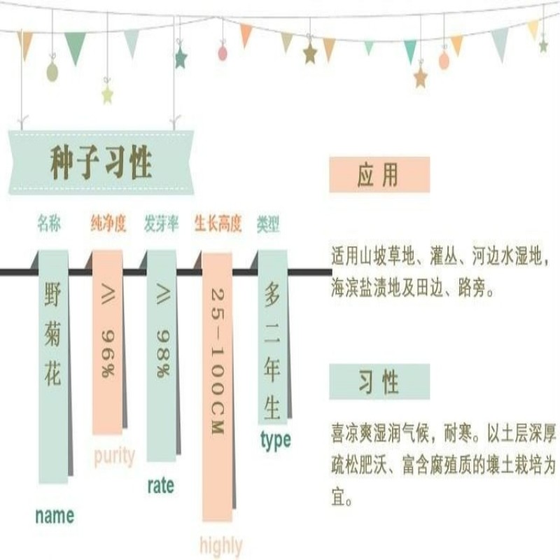 野菊花种子菊花种籽多年生泡茶花卉开花盆栽庭院花园阳台室内
