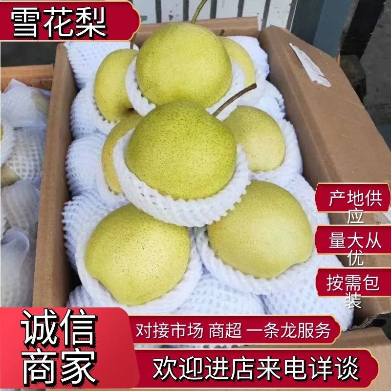 【来电详谈】雪花梨产地大量供应对接批发市场商超及电商